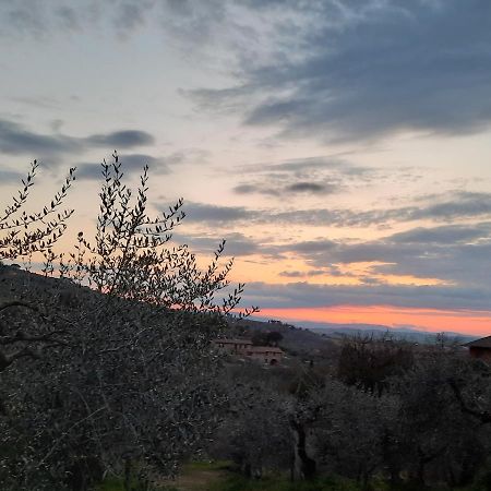 La Piaggiola Degli Olivi Βίλα Panicale Εξωτερικό φωτογραφία
